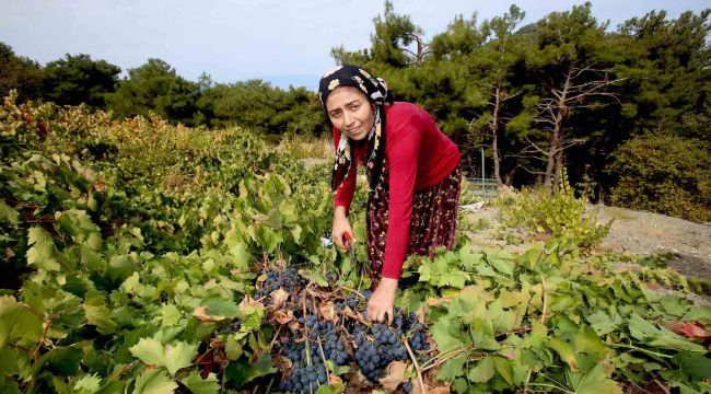 'Bu Hayatta Hiçbir Şeyi Asla Tek Başınıza Başaramazsınız'