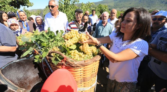 Efes Selçuk'ta Üretici Destekleri Artacak