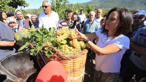 Efes Selçuk'ta Üretici Destekleri Artacak