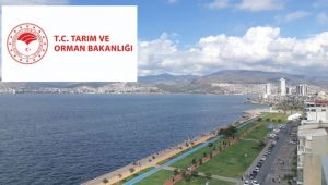 İzmir'deki 28 Şirketin Hileli Ürün Sattığı Ortaya Çıktı