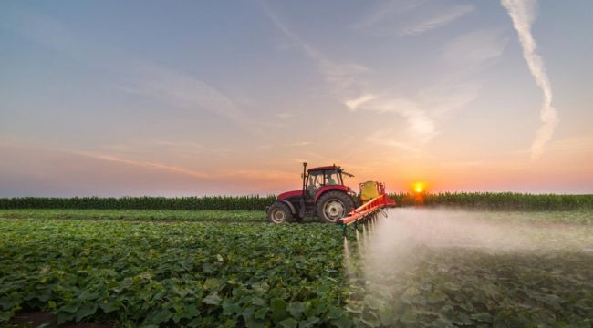 Türkiye'nin Tarım Zehirleri Raporu Yayınlandı