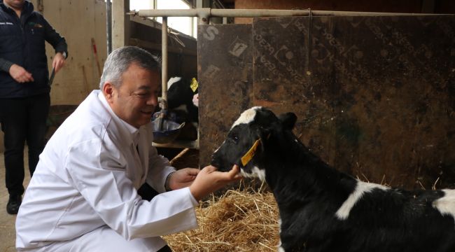 İzmir Hayvancılık Sektörüne Destek