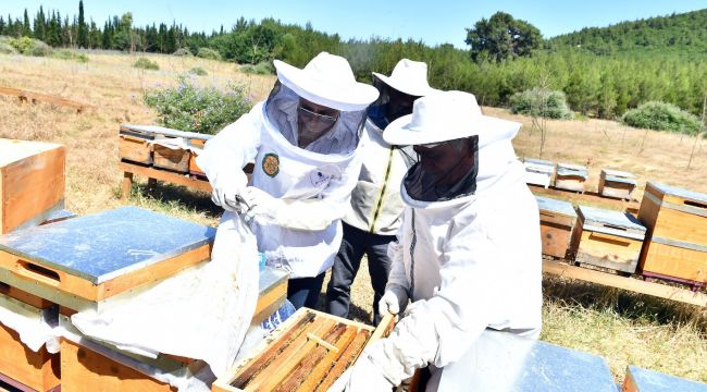 Tarımsal Üretim Alanında Yeni Projeler Hayata Geçti