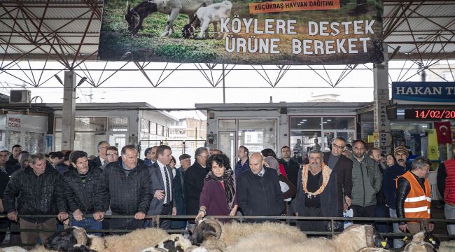 İzmir Belediyesi'nin Küçükbaş Hayvan Desteği Devam Ediyor