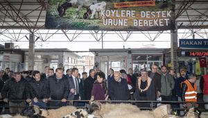 İzmir Belediyesi'nin Küçükbaş Hayvan Desteği Devam Ediyor