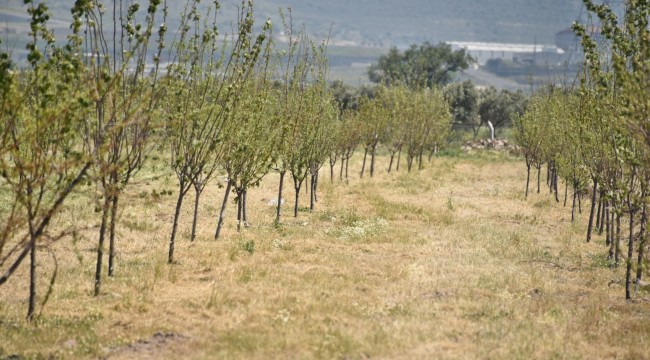 Tarım Arazileri Yeniden Canlandırılıyor