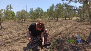 Tarımsal Üretimine Yönelik Yatırımlar Artıyor