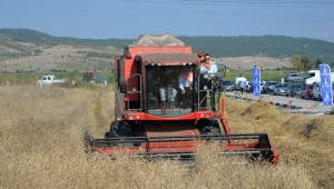 Karakılçık Buğdayı Hasadı Yapıldı