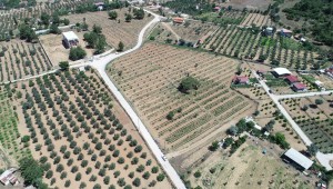 Buca'da Hedef 250 Dönümde Üretim 