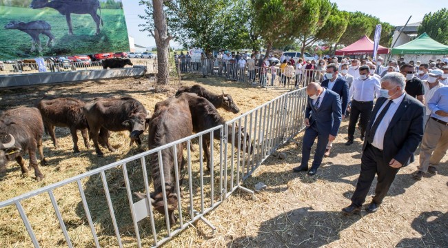 İzmir'de Hayvancılık Destekleri Sürüyor