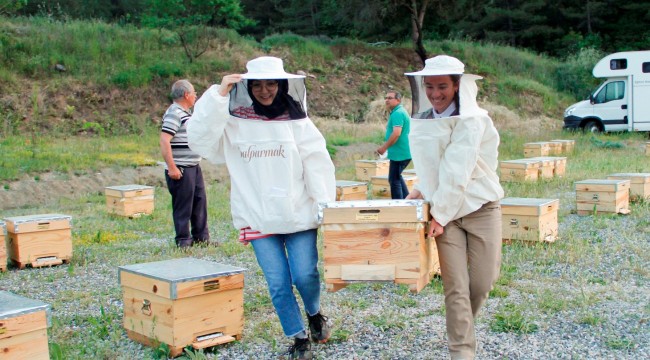 Muğla'da Arıcılık Akademisi Mezunlarını Verdi