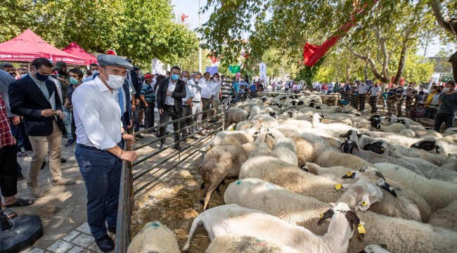 İzmirli Çiftçilere Hayvancılık Desteği