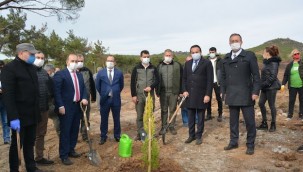 Ayvalık'ta Yanan Alana Tohum Saçıldı Fidan Dikildi