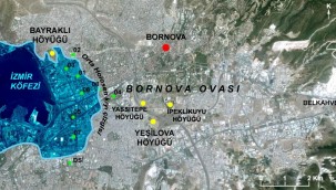 Depremdeki Yıkımda Bornova'nın Alüvyal Jeomorfolojisinin Etkisi Büyük