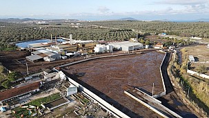 Ayvalık'ta Temiz Su Kaynakları Büyük Zarar Gördü