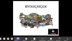 Zengin Endemik Çeşitlilik Biyokaçakçılığa Neden Oluyor