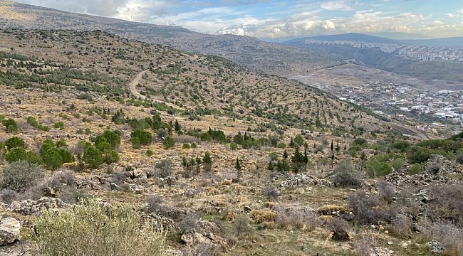 İzmir'deki Konut Projesine Mimarlar Odasından Dava