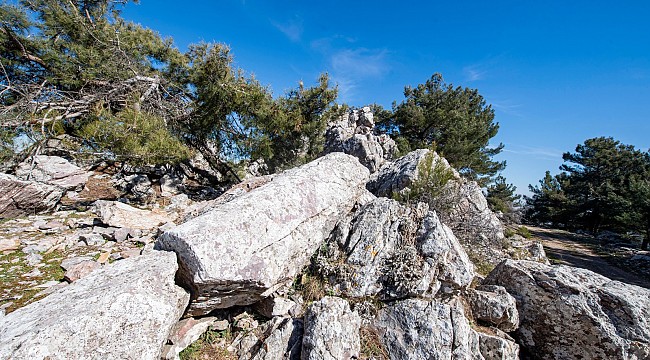 İzmir'de antik taş ocağı bulundu