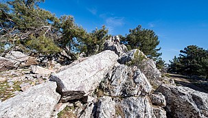 İzmir'de antik taş ocağı bulundu